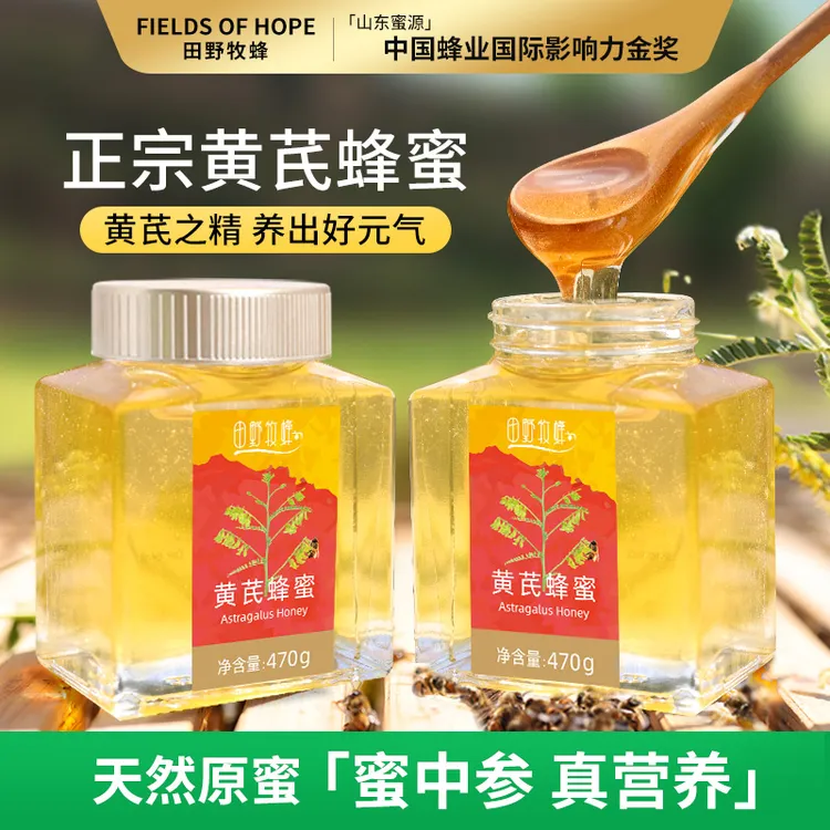 田野牧蜂黄芪蜂蜜【蜜中参】夏季润养 高原天然成熟蜜纯蜜真营养商品图