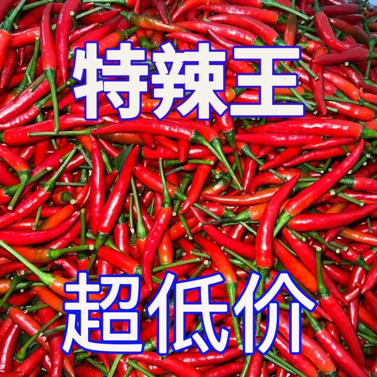 【大补贴】新鲜现摘小米椒特辣小米辣鲜椒朝天椒红辣椒产地直发包邮