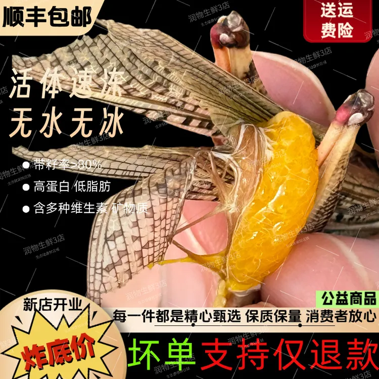 山东特产新鲜 蝗虫 纯母带籽去翅 蚱蜢 速冻东亚飞蝗 蚂蚱鲜活速