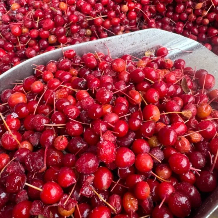 呼伦贝尔特产、山丁子干、冷冻山丁子，山丁子半干，一斤，三斤，五斤