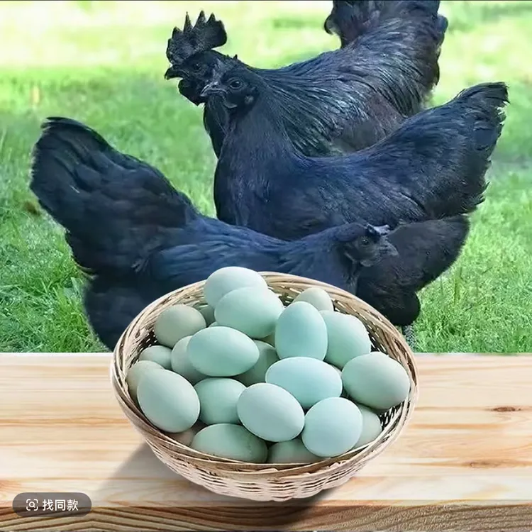 绿壳鸡蛋20枚/50枚 乌鸡蛋土鸡蛋月子蛋宝宝蛋