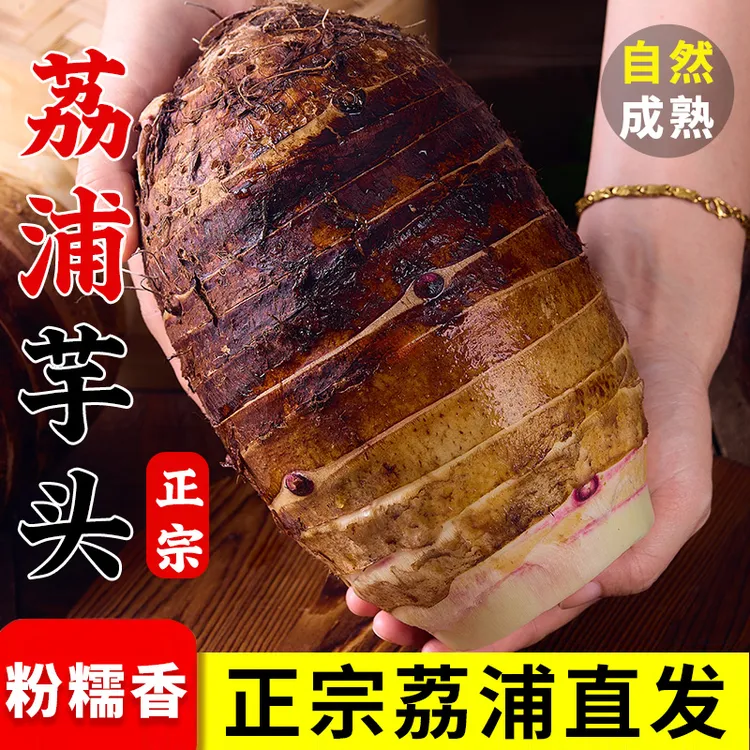 【荔浦发货】正宗荔浦芋头广西特产香芋新鲜现挖粉糯香芋产地直发