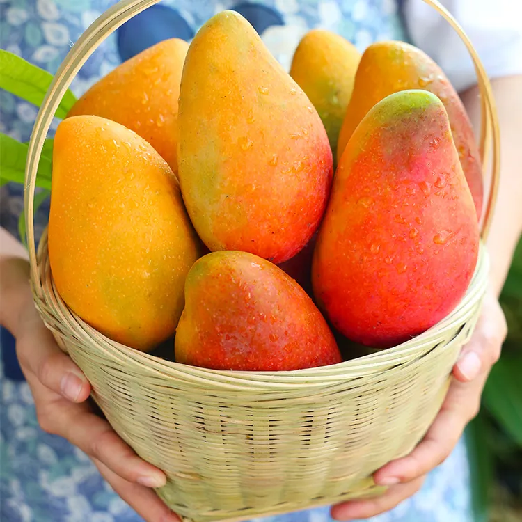 海南贵妃芒芒果新鲜9水果大果当季整箱树上熟红金龙辣椒芒3-9斤商品图