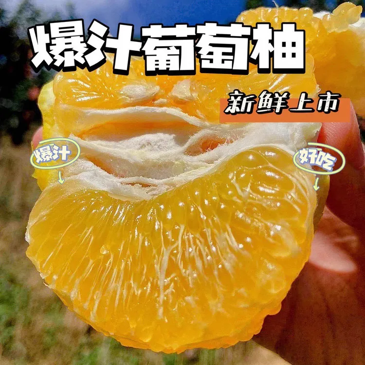 现摘福建爆汁黄金葡萄柚新鲜柚子应季蜜柚孕妇水果3/5/9斤清甜
