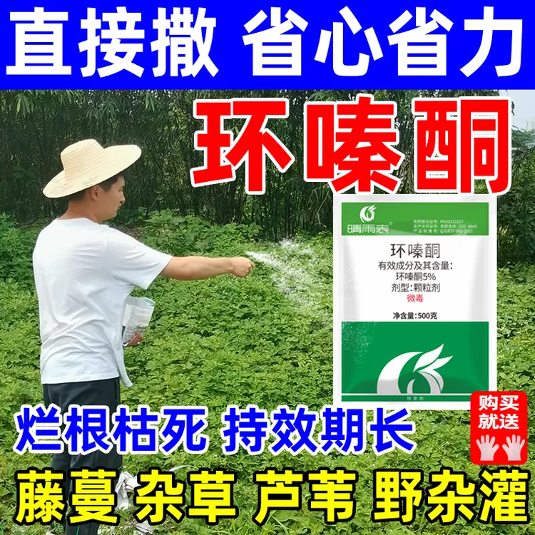 环嗪酮哃除草剂颗粒剂撒施烂根枯死药杂草藤蔓除草剂烂根剂正品