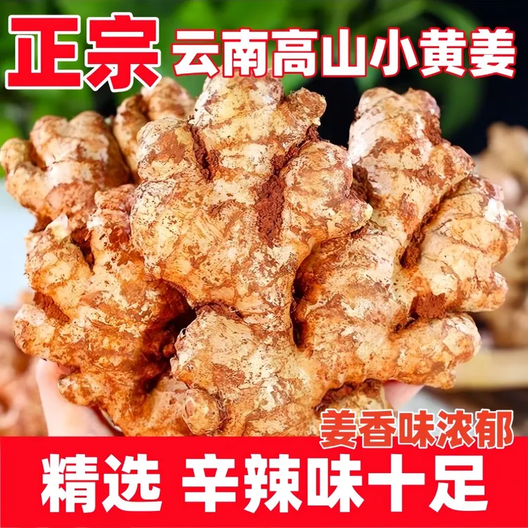 【农家新鲜蔬菜】正宗云南小黄姜新鲜生姜老姜嫩姜农家自种产地直发
