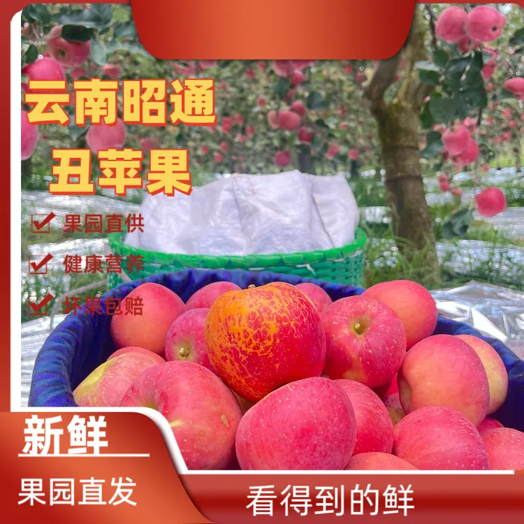 正宗云南昭通冰糖心丑苹果新鲜现摘脆甜多汁水果