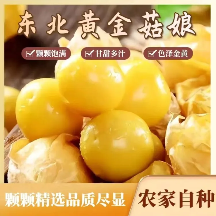 【小微】东北姑娘果新鲜当季清甜多汁果园直发
