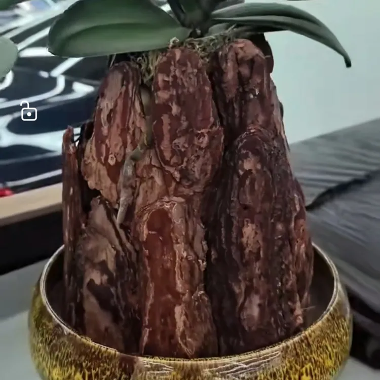 打磨发酵松树皮园艺铺面树穴有机覆盖物防尘保湿宠物垫材