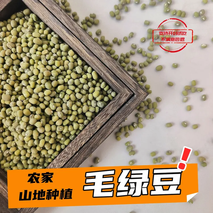 【25年新毛绿豆】精选农家种植正宗绿豆粥绿豆沙颗粒饱满易煮出沙