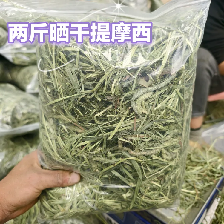【两斤装】晒干提摩西草宠物嫩绿少杆兔子龙猫荷兰猪磨牙主食干草