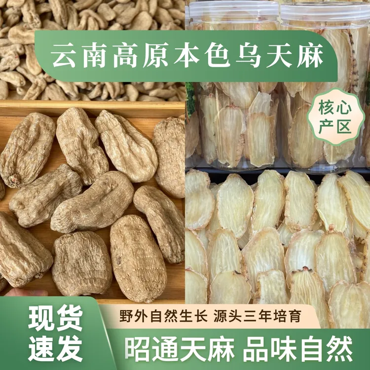 【干天麻】云南昭通原产本色干天麻小草坝天麻无熏硫煲汤营养无酸味