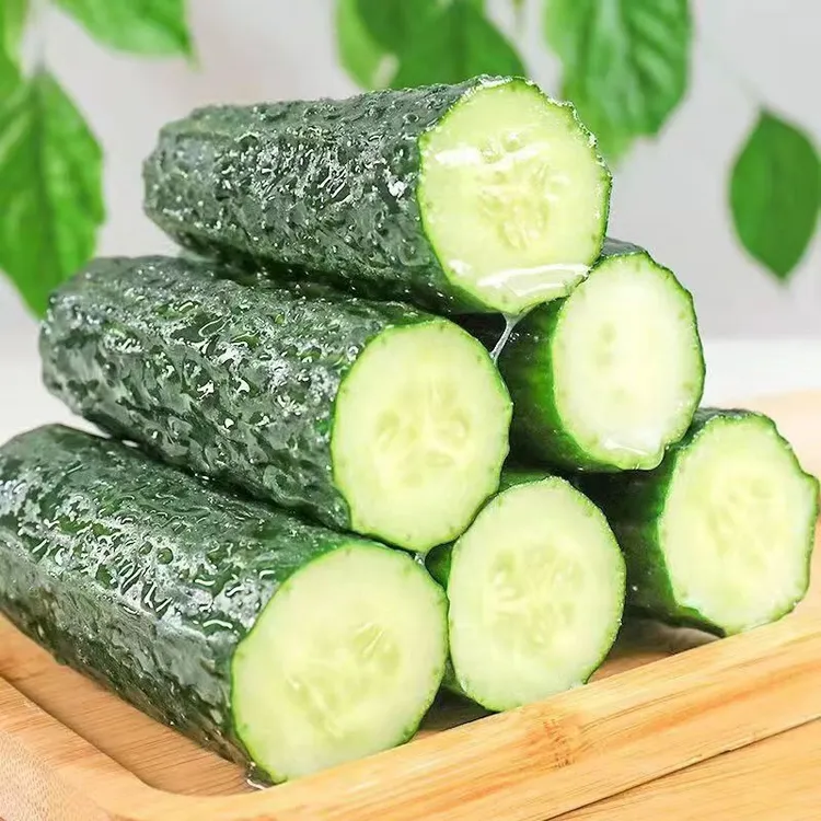 贵州高山刺黄瓜自然生长新鲜现摘现发