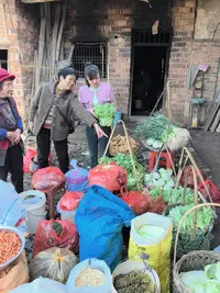 家里的本地新鲜菜拍这里