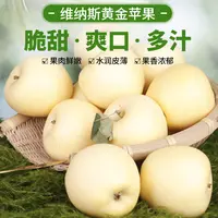 【高途专属】正宗高山维纳斯黄金苹果脆甜多汁新鲜上市顺丰包邮