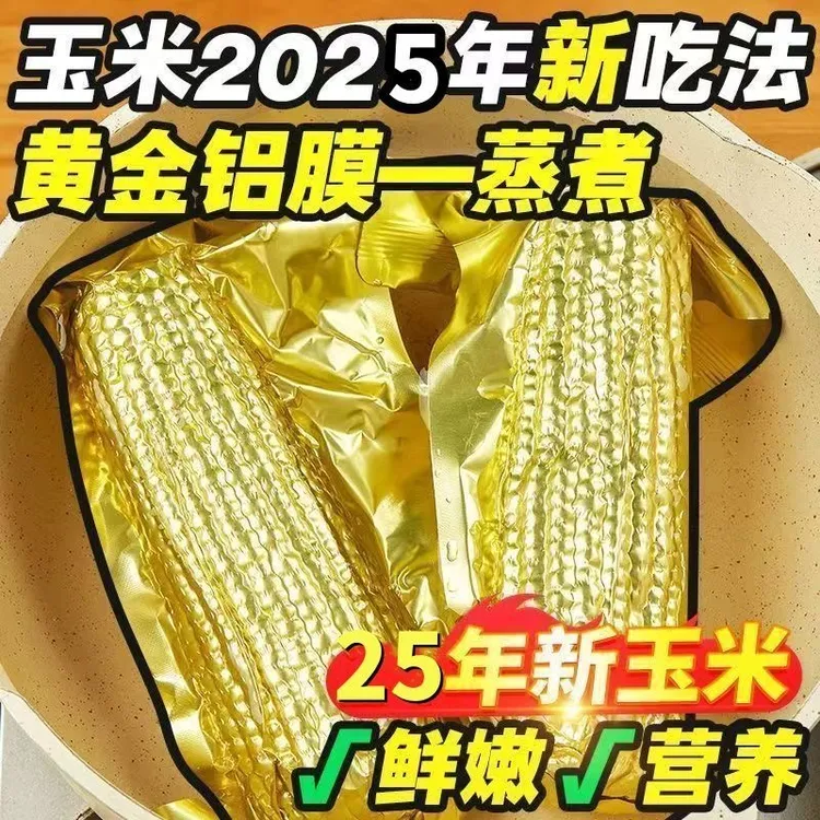 (试吃3支)25年头茬黄糯玉米金色铝箔包装现摘12支(整箱6斤以上)