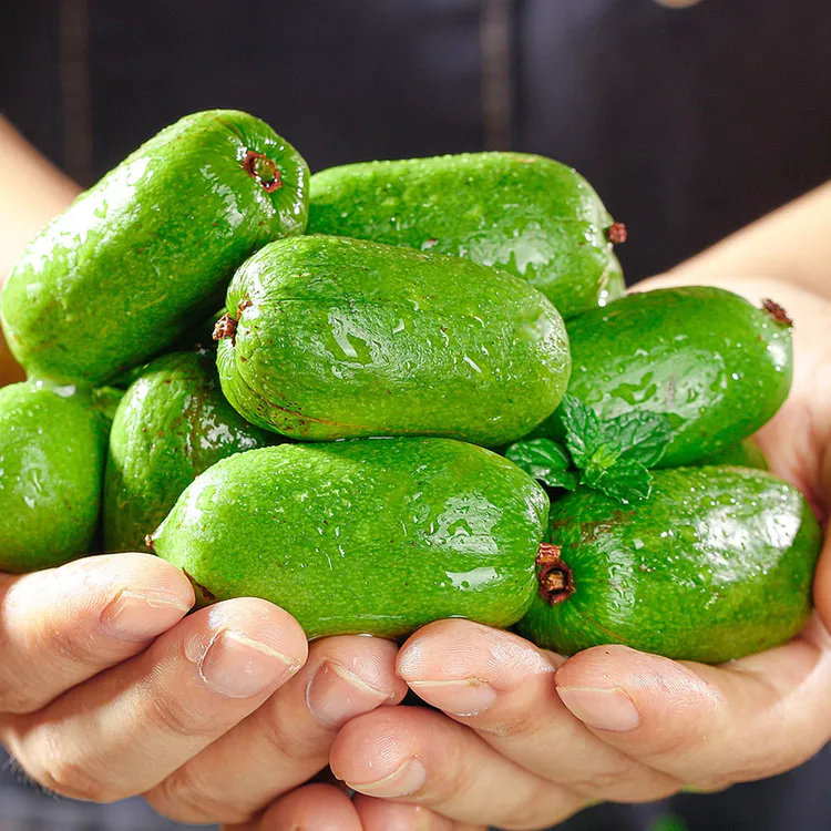 正宗软枣猕猴桃软枣猕猴桃奇异莓应季新鲜水果装产地直发老婆