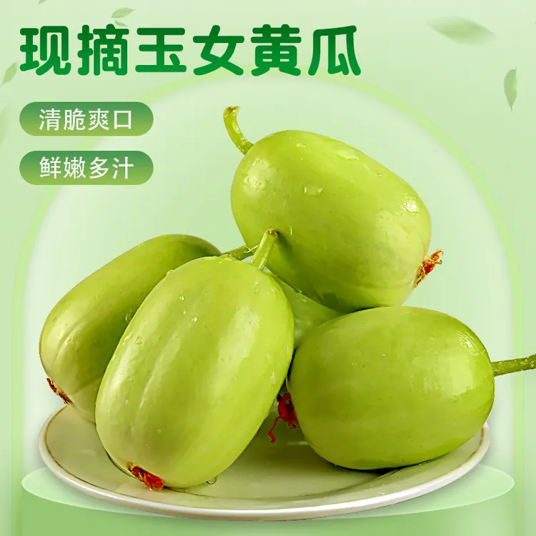 【活动直降】山东玉女水果黄瓜新鲜拇指黄瓜金童玉女黄瓜母子黄瓜