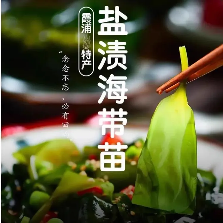 【热卖款】霞浦盐渍海带苗脆嫩爽滑可用于凉拌煲汤火锅食材