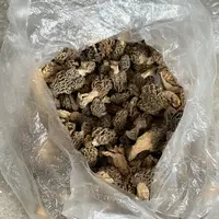【张大庆】农产品蘑菇羊肚菌