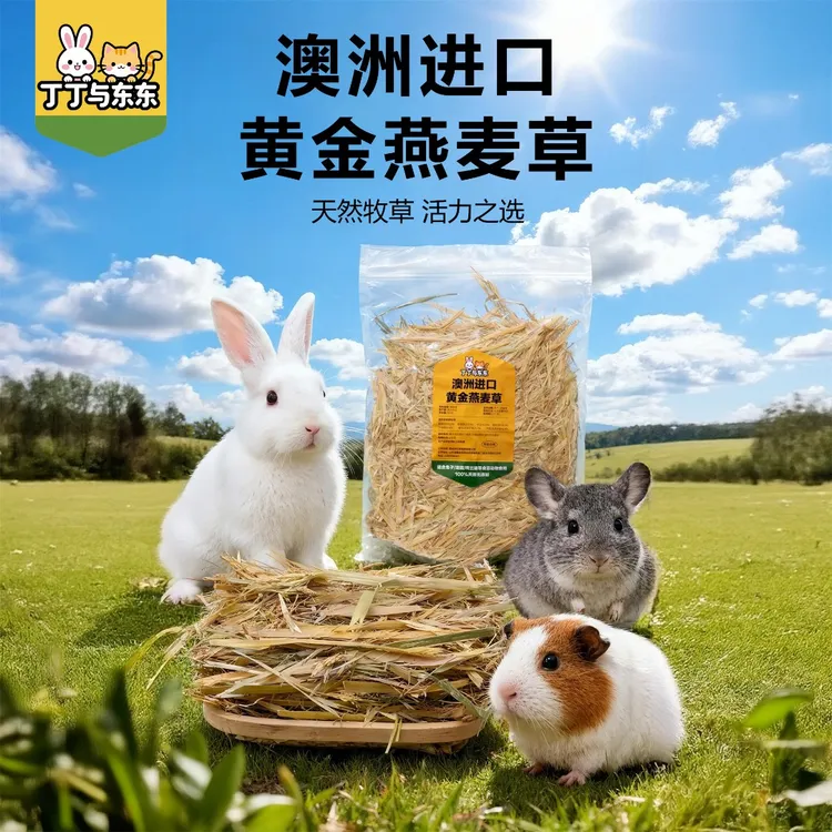 丁丁与东东晒干澳洲黄金燕麦草绿澳麦宠物兔子龙猫荷兰猪磨牙牧草
