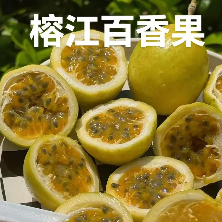 榕江百香果,村超水果,味美香甜,顺丰包邮,坏果包赔。