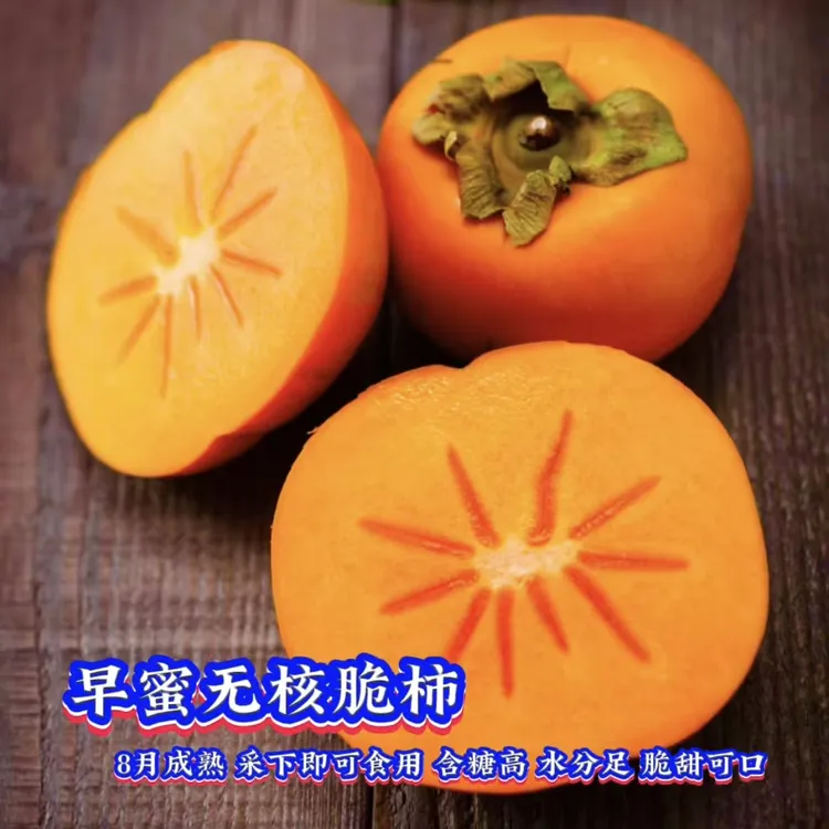 早蜜无核脆柿苗/脆甜柿子苗/柿子苗/摘下即可食用的柿子/椰箩