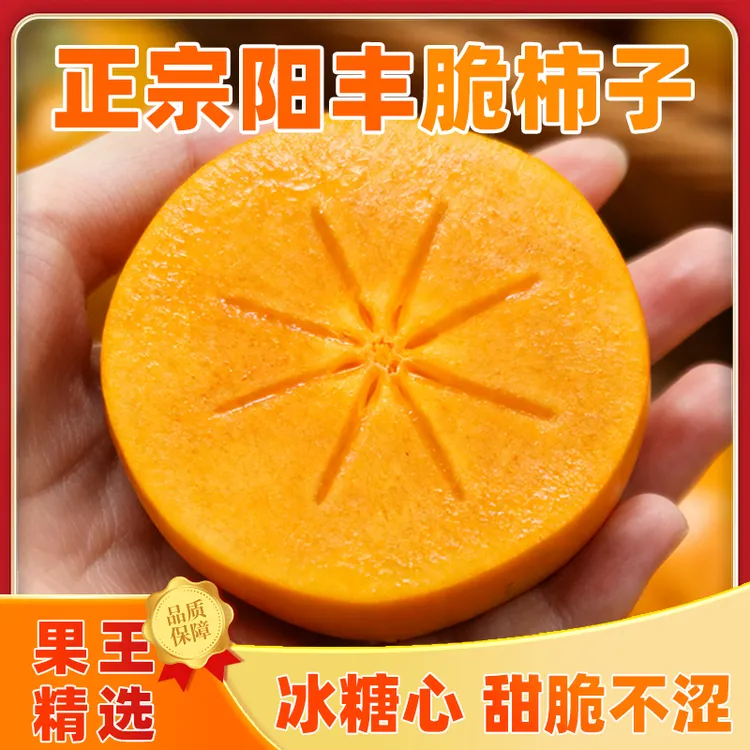 山西柿之乡万荣脆甜柿子精选果王应季硬柿子巧克力水果柿子阳丰