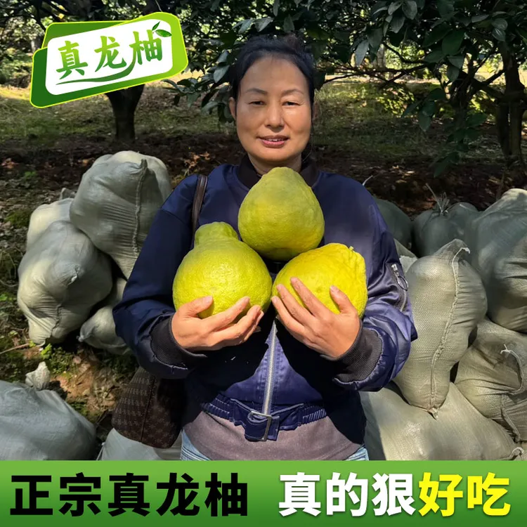 【纯甜】正宗四川泸州合江真龙柚纯甜不酸当季新鲜水果白心蜜柚