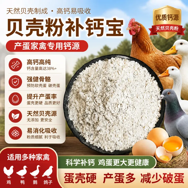 贝壳粉喂鸡专用高钙贝壳饲料鸽子贝壳保健砂正宗贝壳粉饲料补钙宝商品图