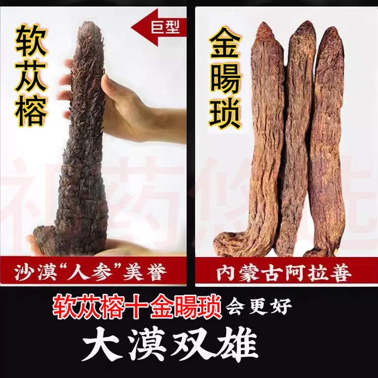 【旗舰店正品肉苁蓉】金暘琐整根200克男士泡酒中药材泡十斤功效 A