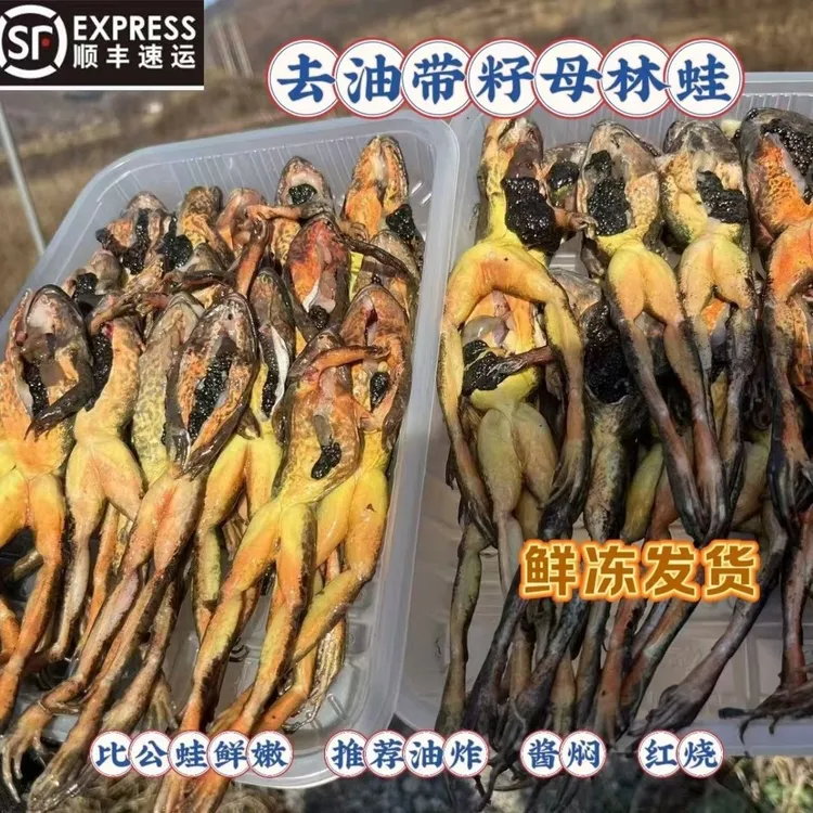 东北去油带籽母蛤蟆顺丰包邮