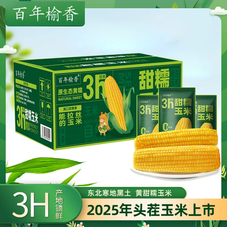 【25年头茬玉米】东北优质新鲜黄糯玉米香甜拉丝营养低脂240g/支