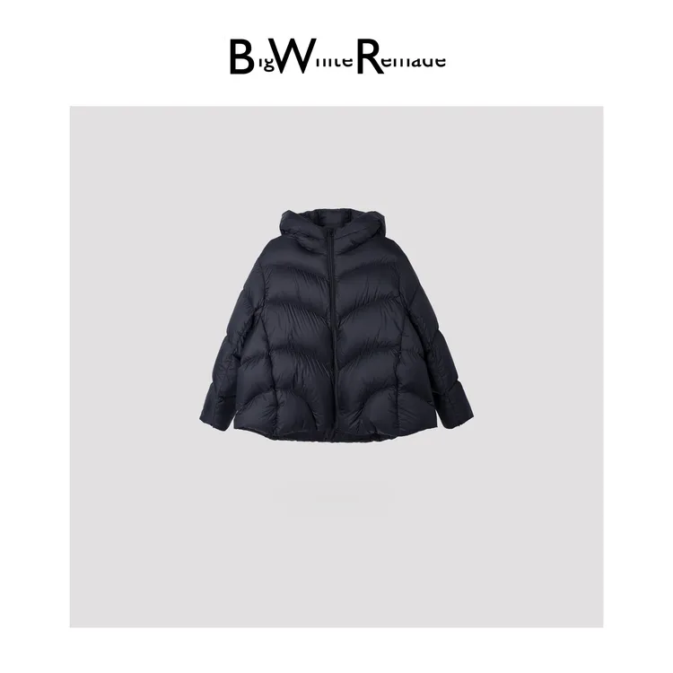 BIG WHITE REMADE“极简主义”95百鹅绒200+高填充舒感羽绒服DSX001