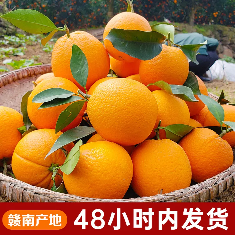 正宗赣南脐橙寻乌现摘应季水果新鲜橙子产地直发特产好吃大果送礼