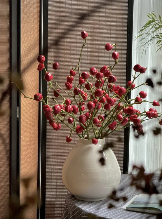 苹果小辣椒鲜切花可做干花稀有小众室内观赏植物