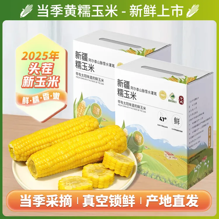 兮域新疆黄糯玉米1.85Kg*1箱(到手8根)真空甜糯好吃玉米礼盒装