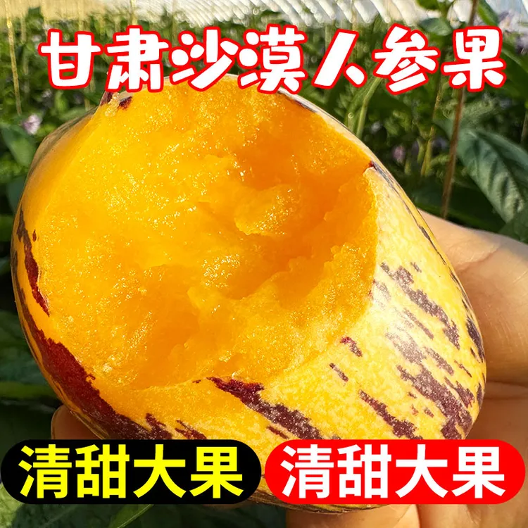 甘肃民勤沙漠人参果黄肉大果树上熟新鲜清甜多汁当季水果商品图