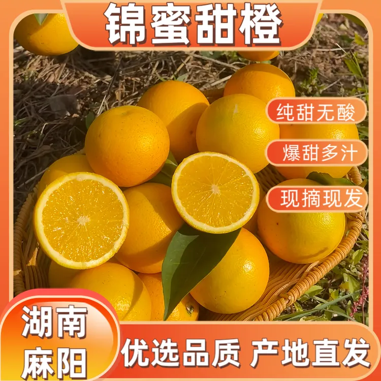 湖南怀化麻阳锦蜜甜橙冰糖橙产地直发清甜多汁手剥橙子爆甜多汁