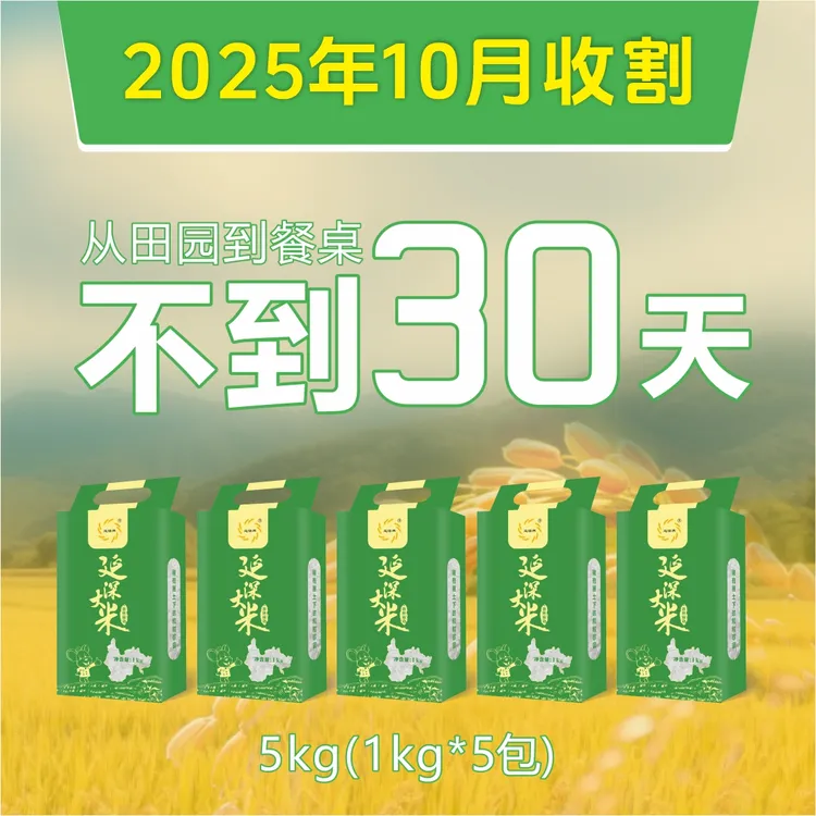【延深牌】超值5kg 延边町香米 保留胚芽营养丰富  2025新米上市