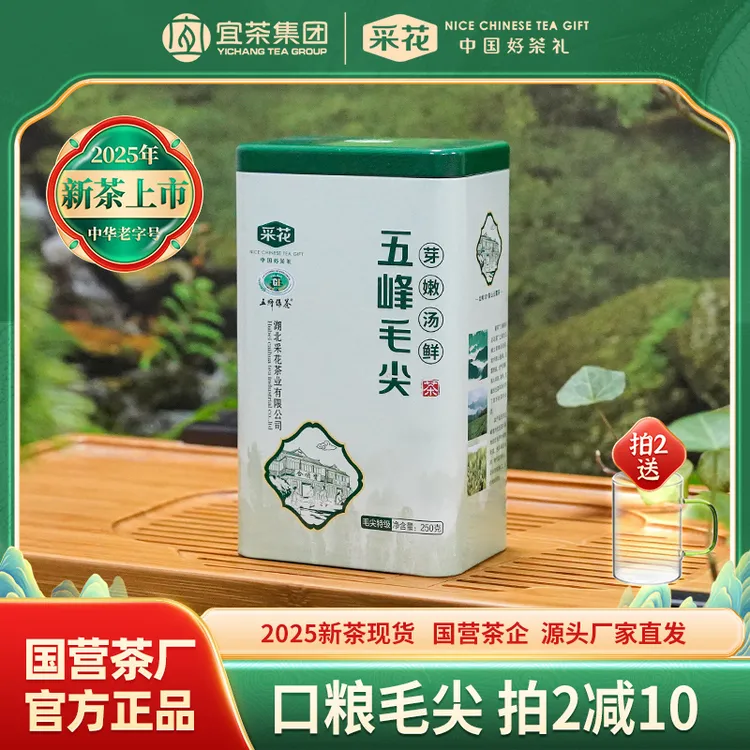 采花【2025新茶现货】五峰绿茶品质好茶毛尖特级半斤罐装浓香耐泡