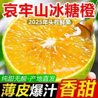 云南哀牢山冰糖橙正宗青皮橙子应季新鲜水果清甜多汁新鲜当季水果