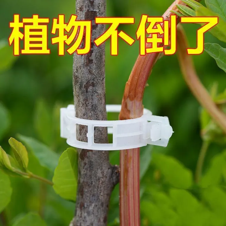 【农场主推荐】果树绿植蔬菜固定卡扣捆绑藤蔓夹环扣植物夹扶蔓夹商品图