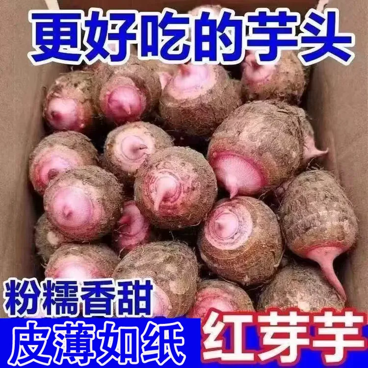 【牛奶红芽芋头】贵州牛奶红芽芋头红芽芋艿香芋新鲜商品图