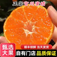 【顺丰送上门】正宗涌泉蜜桔高山宫川橘子新鲜桶装蜜橘薄皮当季水果江苏省