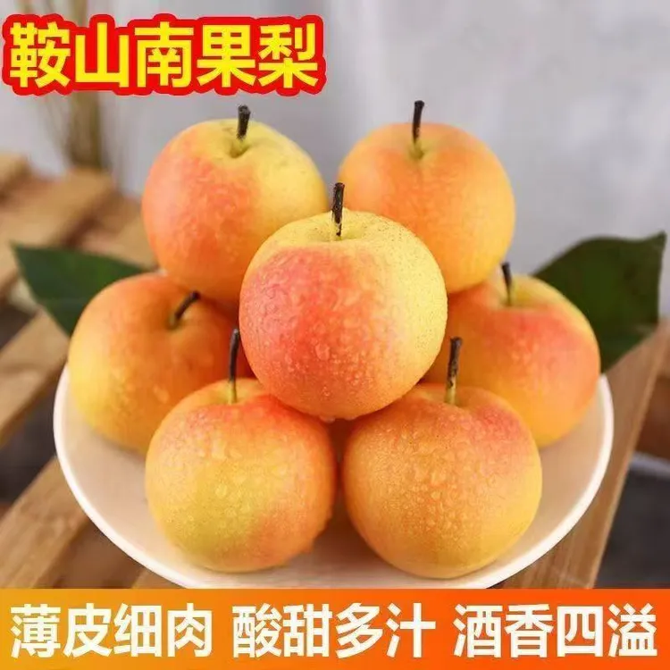 【中秋特惠到手带箱五斤】鞍山新鲜南果梨东北特产应季水果酸甜多汁