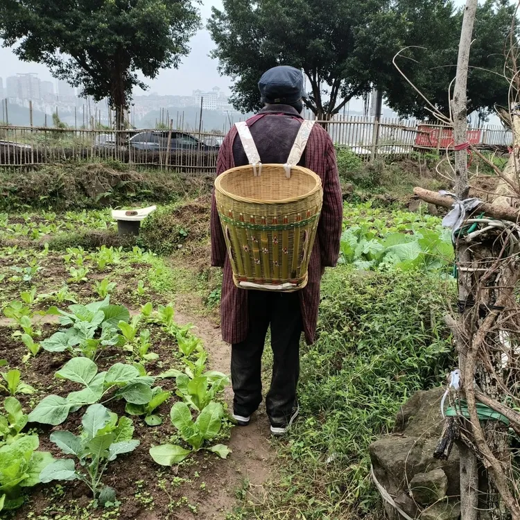 【精编全青皮花背篓】纯手工家用竹背筐 采茶 买菜 采蘑菇 表演道具