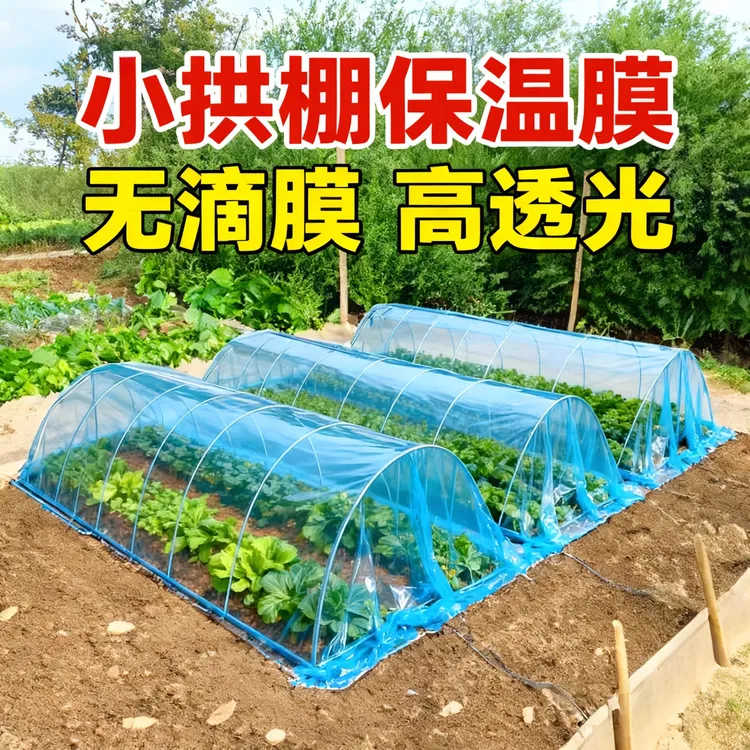 小拱棚保温膜菜棚塑料膜蓝色二膜种菜无滴膜内棚膜防冻保温种植膜商品图