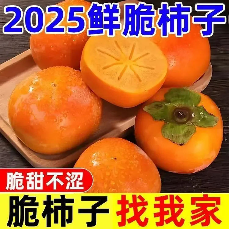 新鲜巧克力脆甜柿子当季水果脆甜多汁大果硬柿子