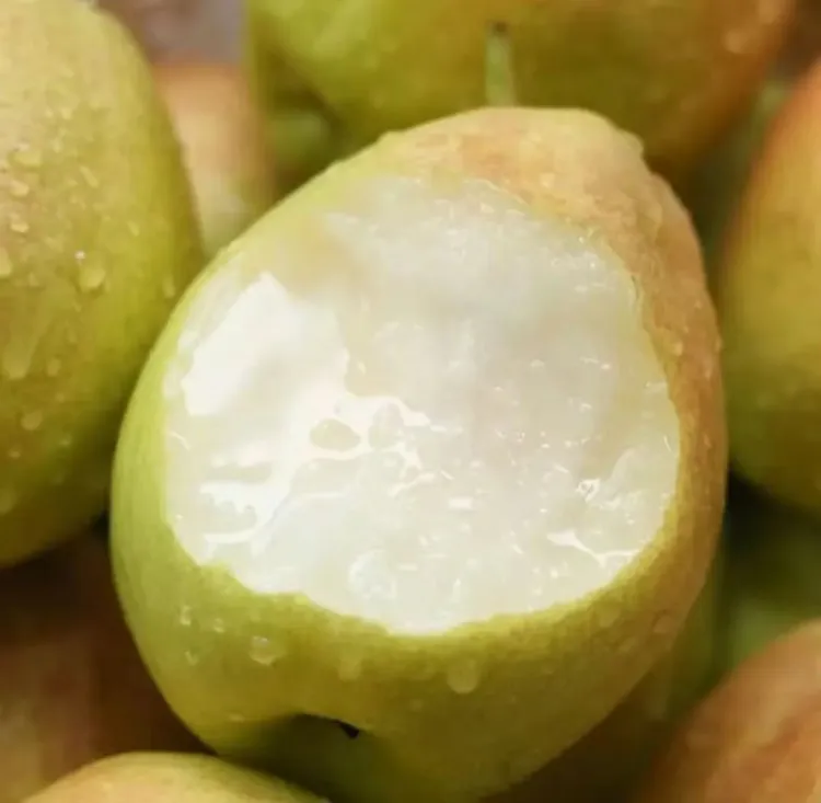 新疆库尔勒香梨脆甜多汁皮薄爆汁应季新鲜水果产地直发